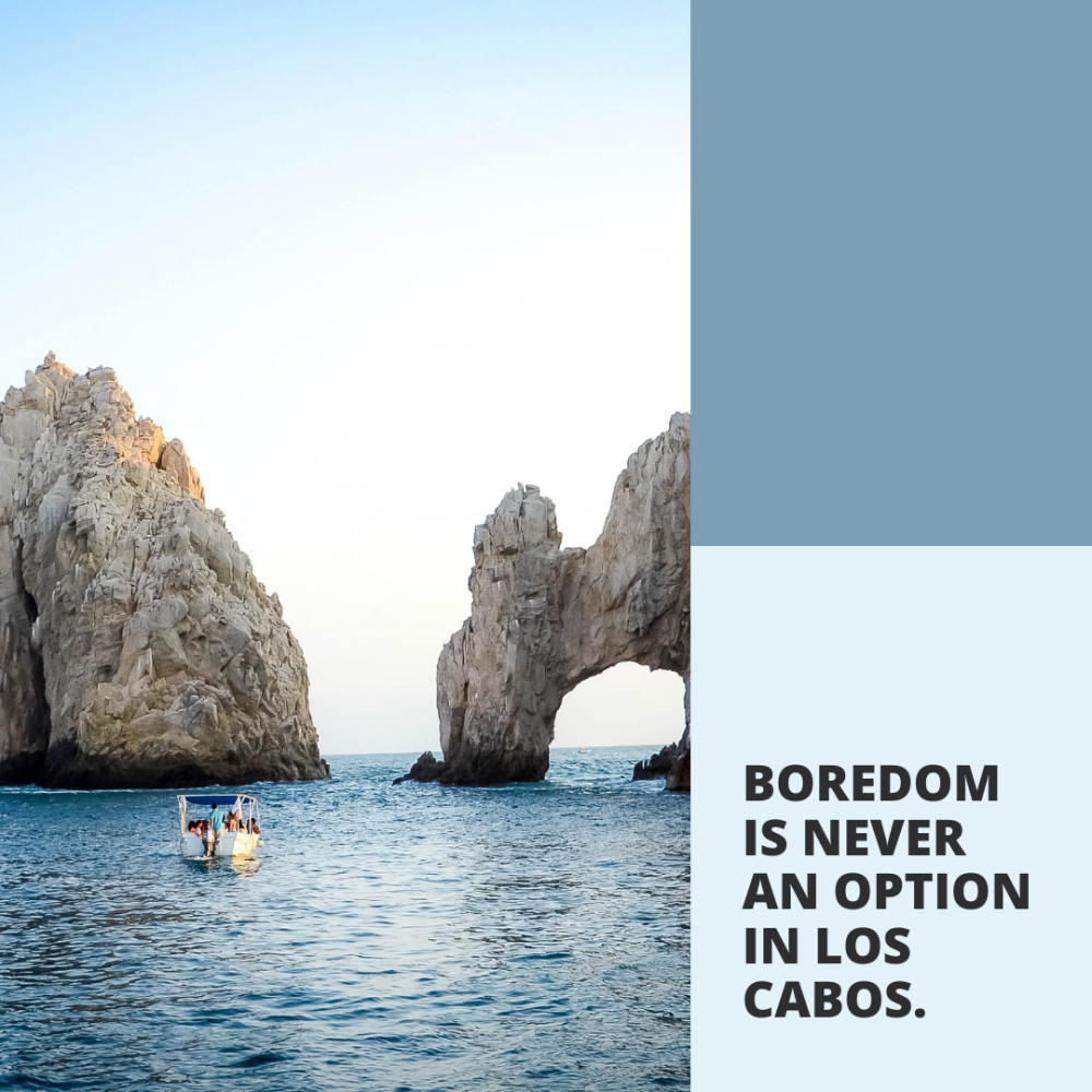 Boredom Is Never An Option